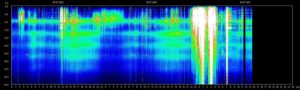 Schumann Frequenz